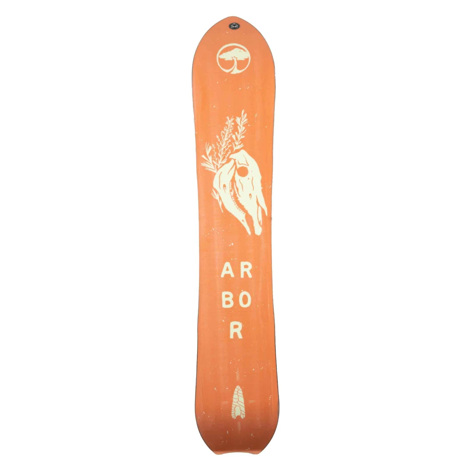 Arbor Clovis Demo 159 22/23 – Image 3