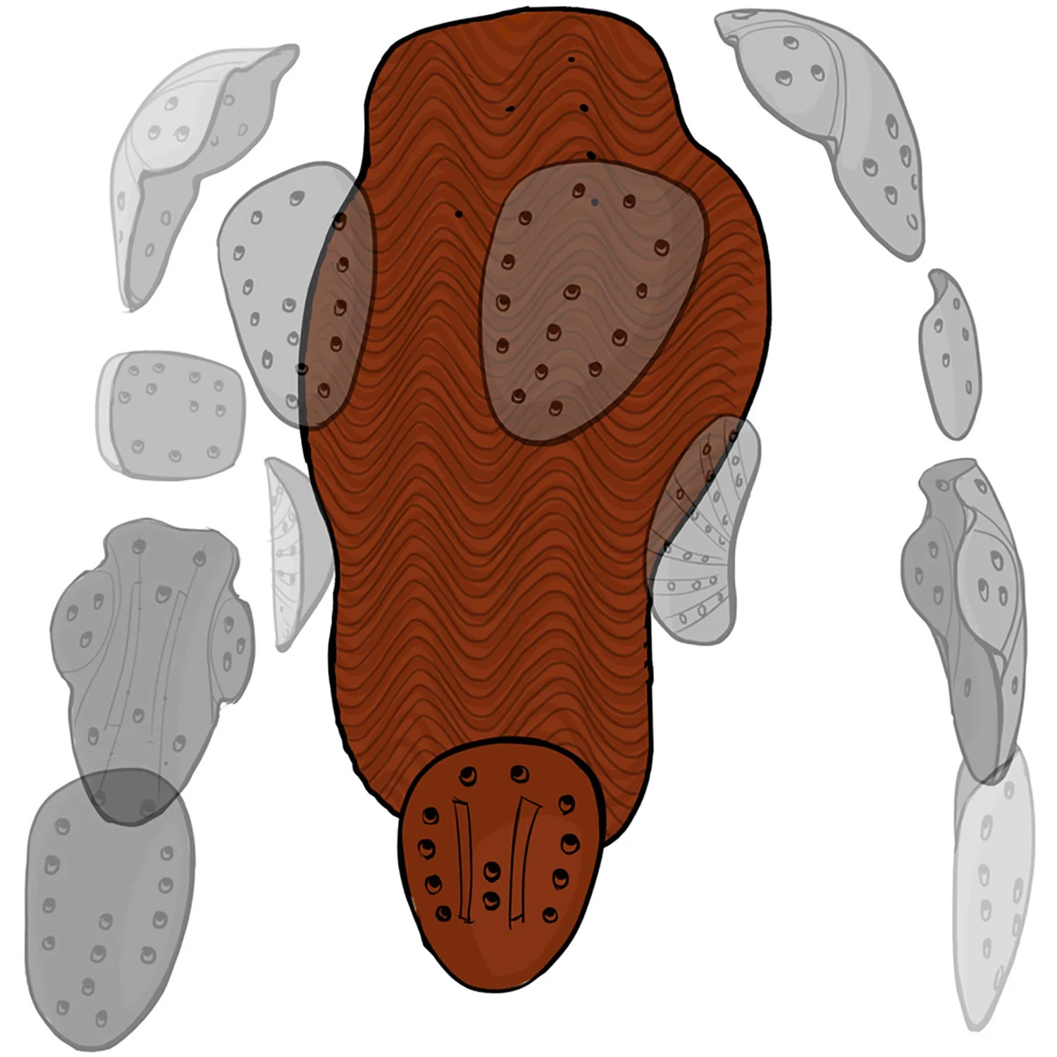 Xion Sleeveless Vest Freeride Womens – Image 4